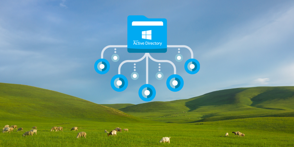 Installation d'un serveur AD et autres services